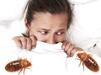 angoisse punaise de lit
